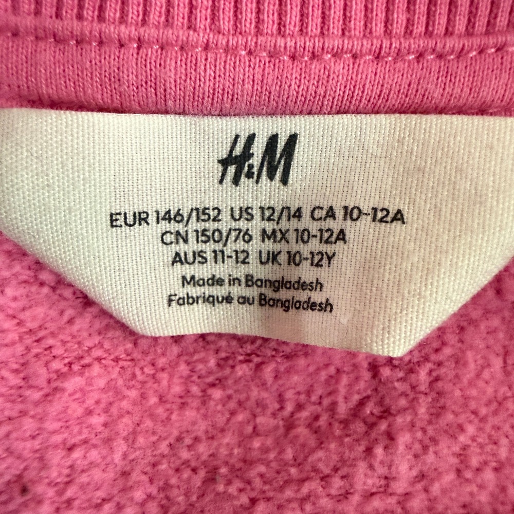 H&M Nirvana Sweatshirt Womens Size 12/14 Pink Crewneck Band Pullover Boxy - Picture 4 of 13